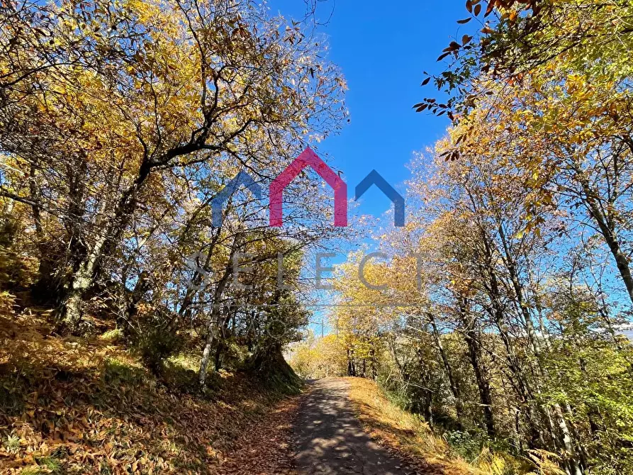 Immagine 40 di Casa semindipendente in vendita  a Bagni Di Lucca