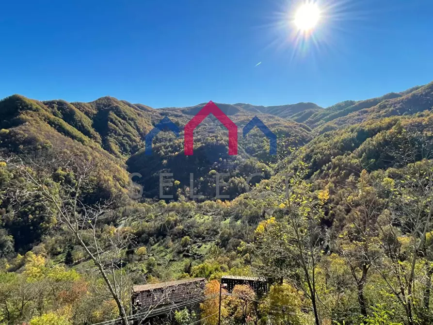 Immagine 21 di Terratetto in vendita  a Bagni Di Lucca