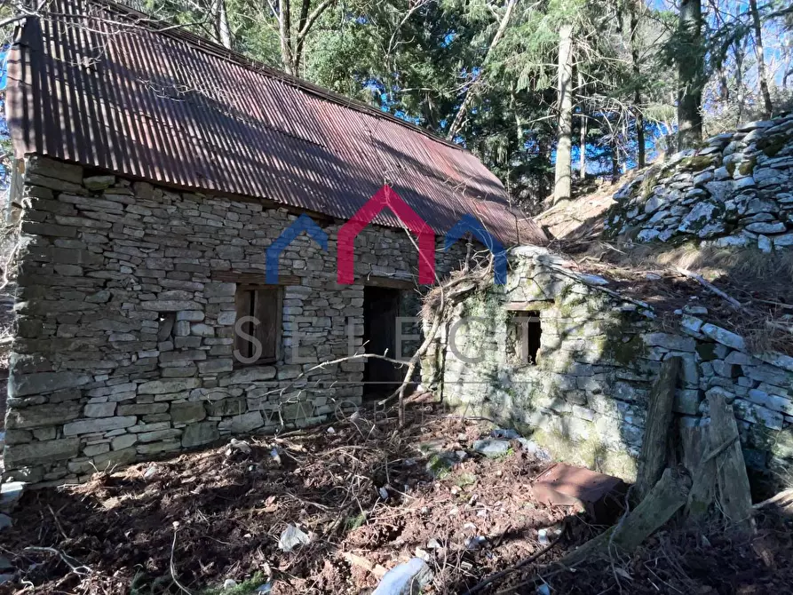 Immagine 44 di Rustico / casale in vendita  a Fabbriche Di Vergemoli