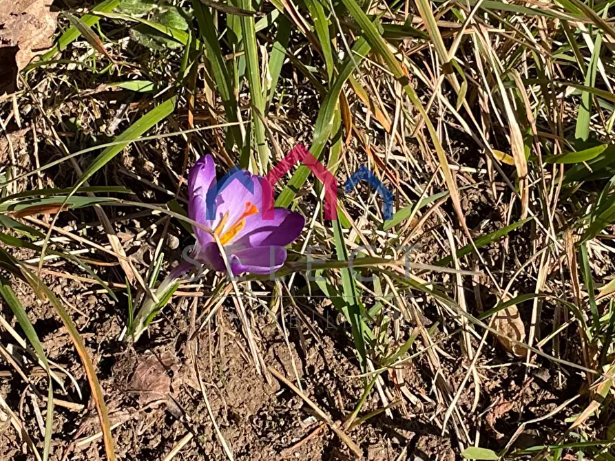 Immagine 50 di Rustico / casale in vendita  a Fabbriche Di Vergemoli