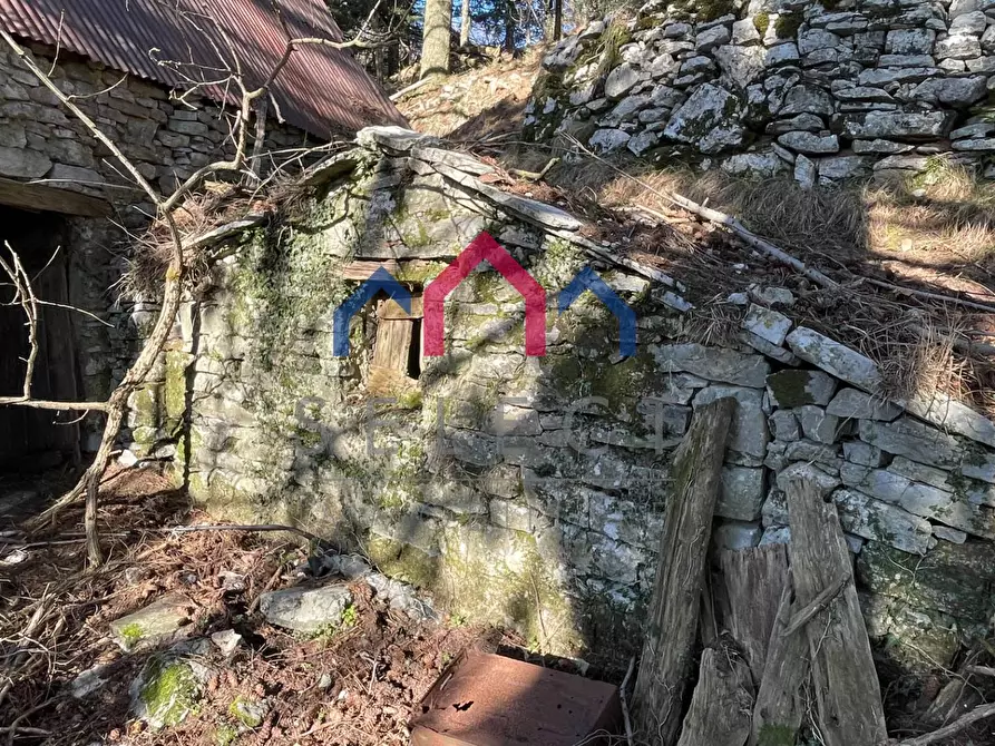 Immagine 36 di Rustico / casale in vendita  a Fabbriche Di Vergemoli