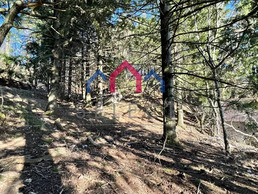 Immagine 5 di Rustico / casale in vendita  a Fabbriche Di Vergemoli