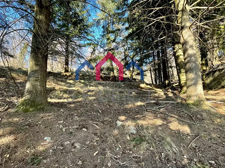 Immagine 9 di Rustico / casale in vendita  a Fabbriche Di Vergemoli