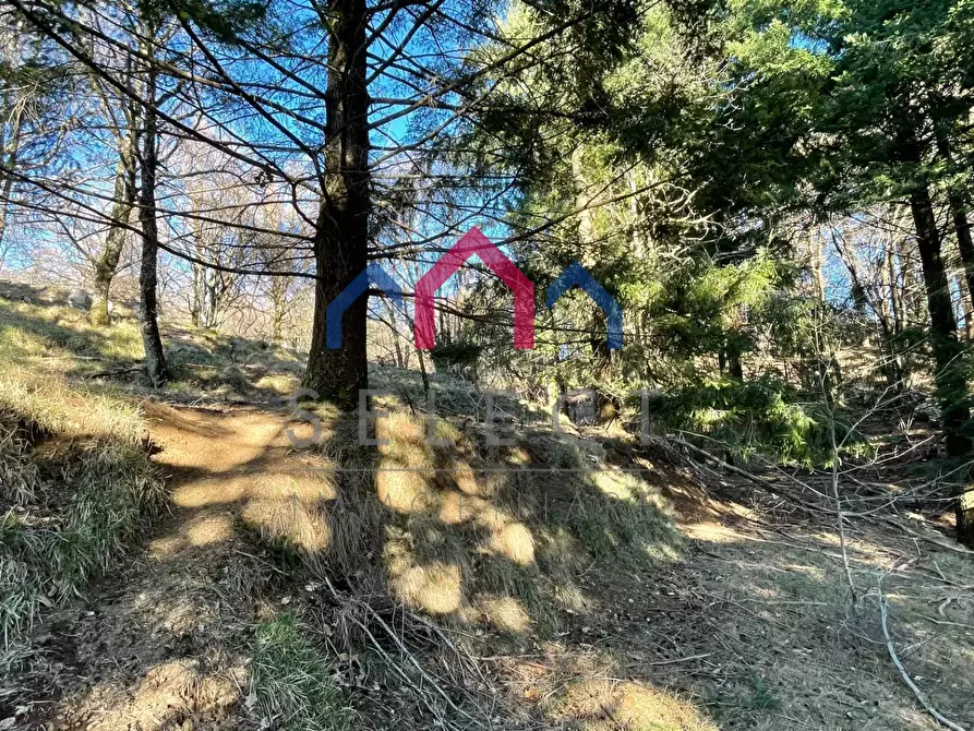 Immagine 54 di Rustico / casale in vendita  a Fabbriche Di Vergemoli