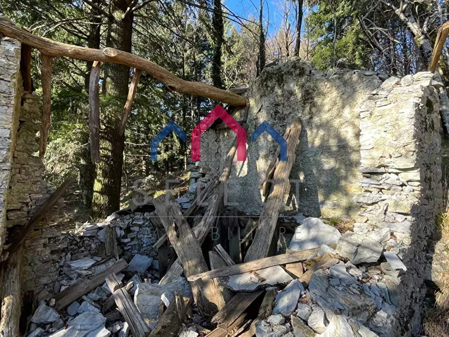 Immagine 23 di Rustico / casale in vendita  a Fabbriche Di Vergemoli