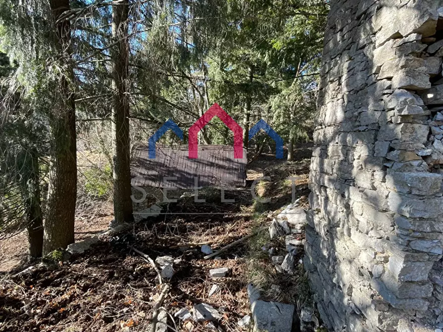 Immagine 27 di Rustico / casale in vendita  a Fabbriche Di Vergemoli