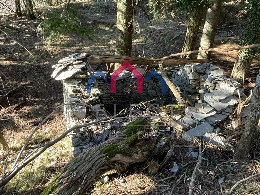 Immagine 13 di Rustico / casale in vendita  a Fabbriche Di Vergemoli