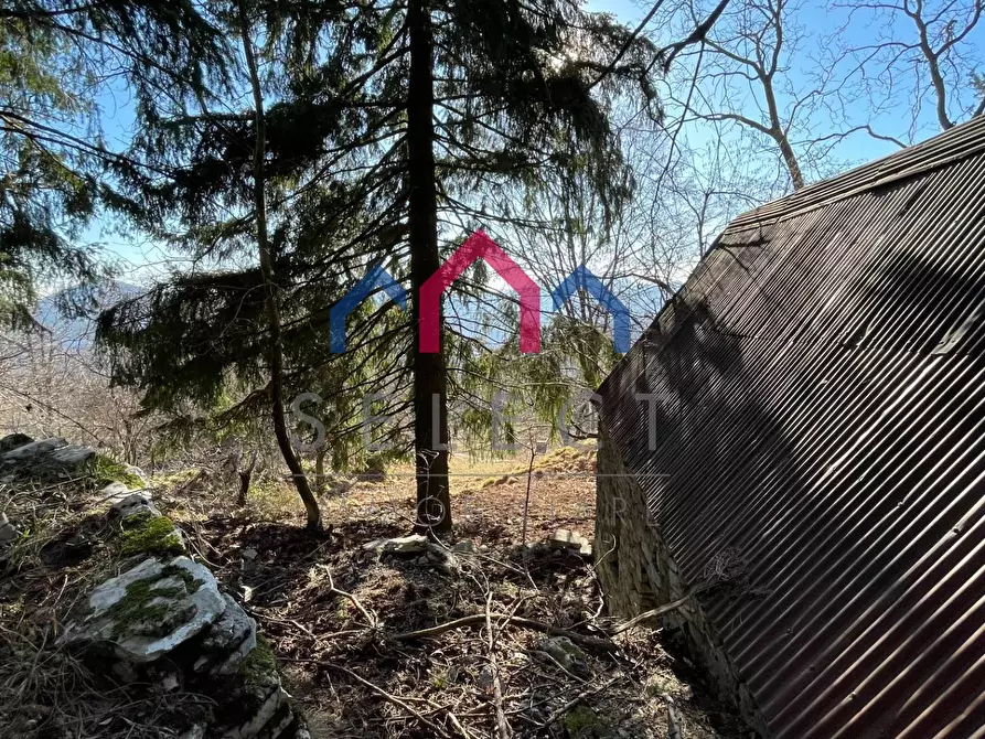 Immagine 46 di Rustico / casale in vendita  a Fabbriche Di Vergemoli