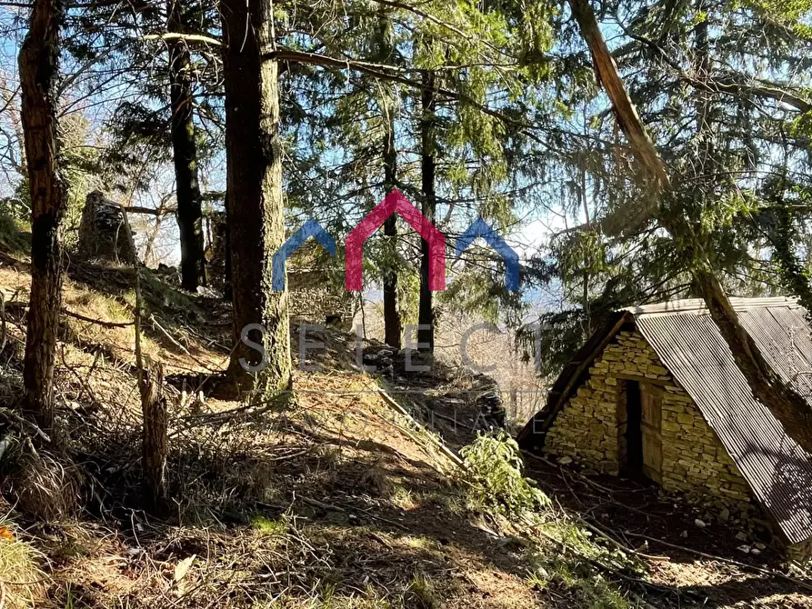 Immagine 15 di Rustico / casale in vendita  a Fabbriche Di Vergemoli