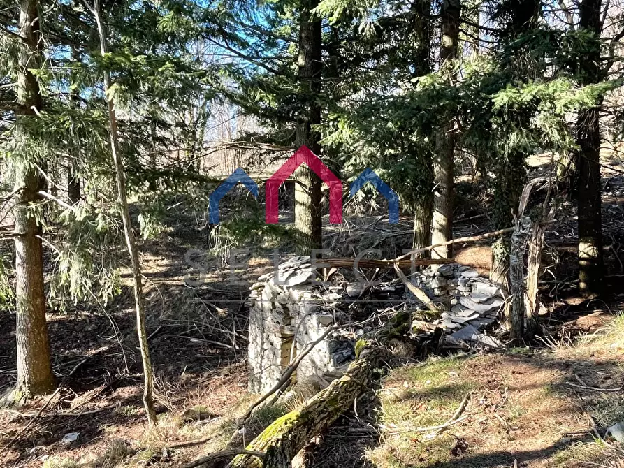 Immagine 14 di Rustico / casale in vendita  a Fabbriche Di Vergemoli