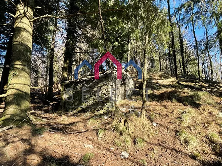 Immagine 10 di Rustico / casale in vendita  a Fabbriche Di Vergemoli