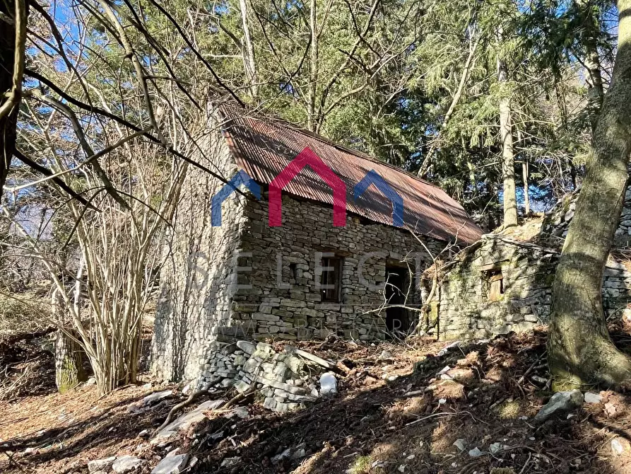Immagine 31 di Rustico / casale in vendita  a Fabbriche Di Vergemoli