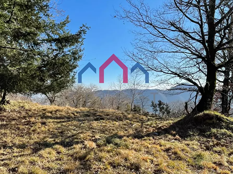 Immagine 3 di Rustico / casale in vendita  a Fabbriche Di Vergemoli