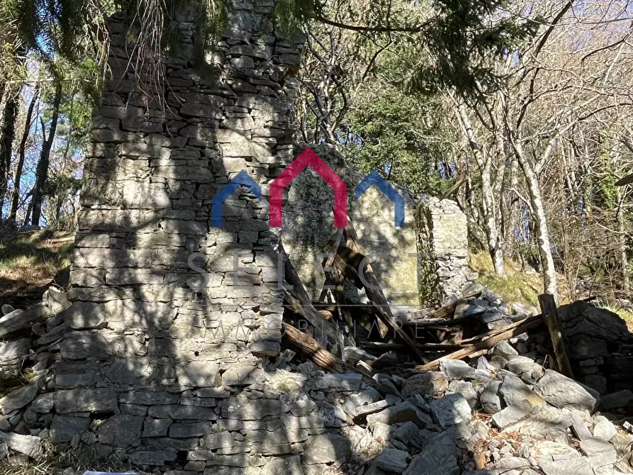 Immagine 29 di Rustico / casale in vendita  a Fabbriche Di Vergemoli