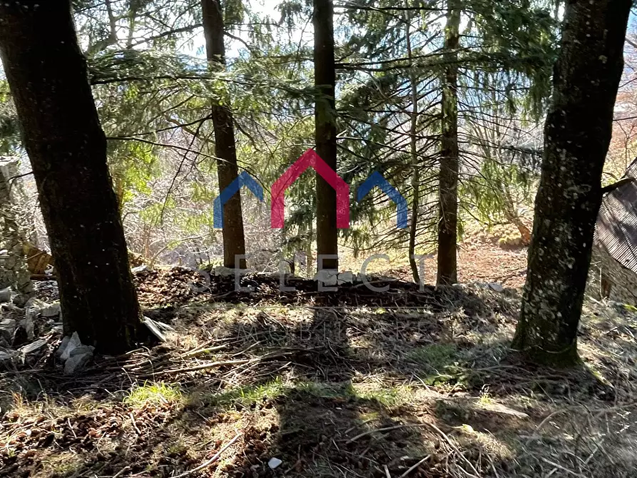 Immagine 19 di Rustico / casale in vendita  a Fabbriche Di Vergemoli