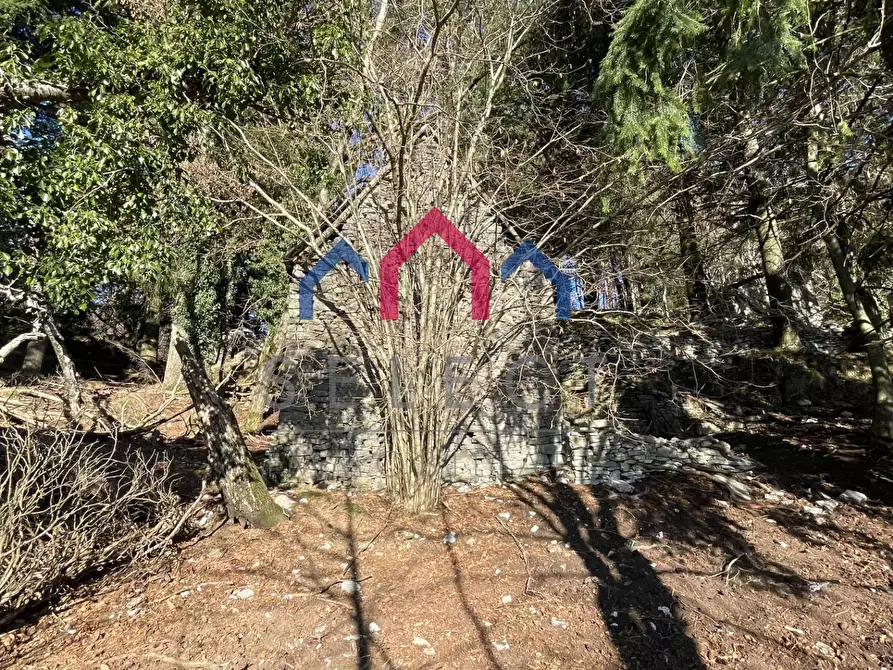 Immagine 34 di Rustico / casale in vendita  a Fabbriche Di Vergemoli