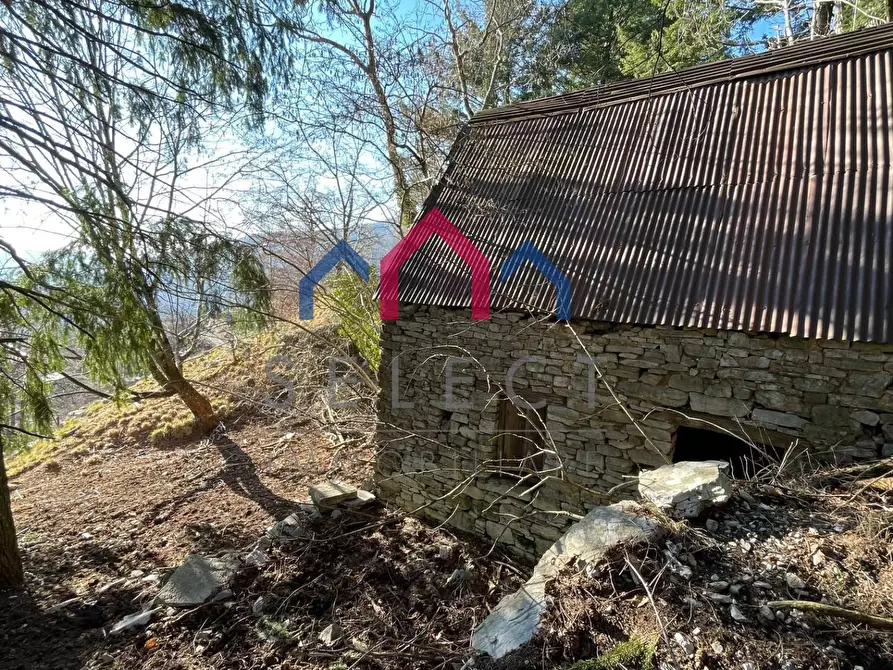 Immagine 45 di Rustico / casale in vendita  a Fabbriche Di Vergemoli