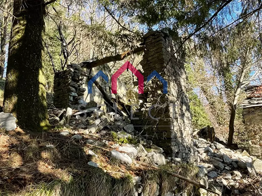 Immagine 28 di Rustico / casale in vendita  a Fabbriche Di Vergemoli