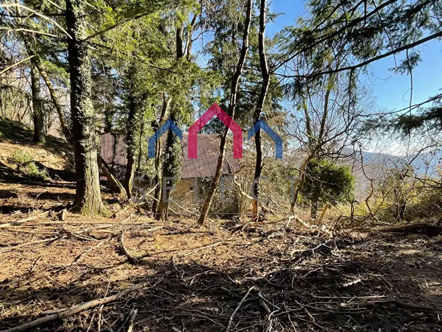 Immagine 7 di Rustico / casale in vendita  a Fabbriche Di Vergemoli