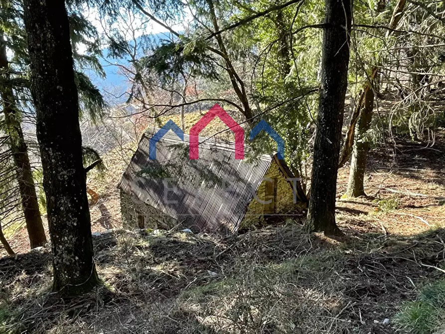 Immagine 18 di Rustico / casale in vendita  a Fabbriche Di Vergemoli