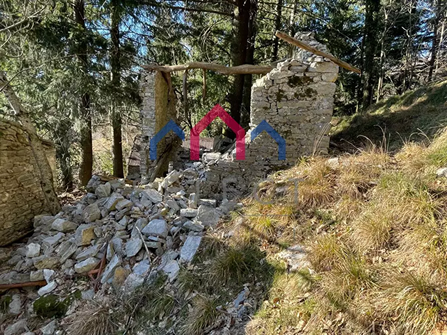 Immagine 22 di Rustico / casale in vendita  a Fabbriche Di Vergemoli