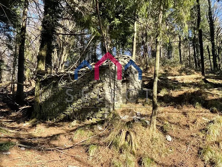 Immagine 11 di Rustico / casale in vendita  a Fabbriche Di Vergemoli