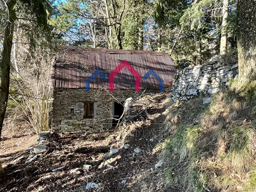 Immagine 30 di Rustico / casale in vendita  a Fabbriche Di Vergemoli