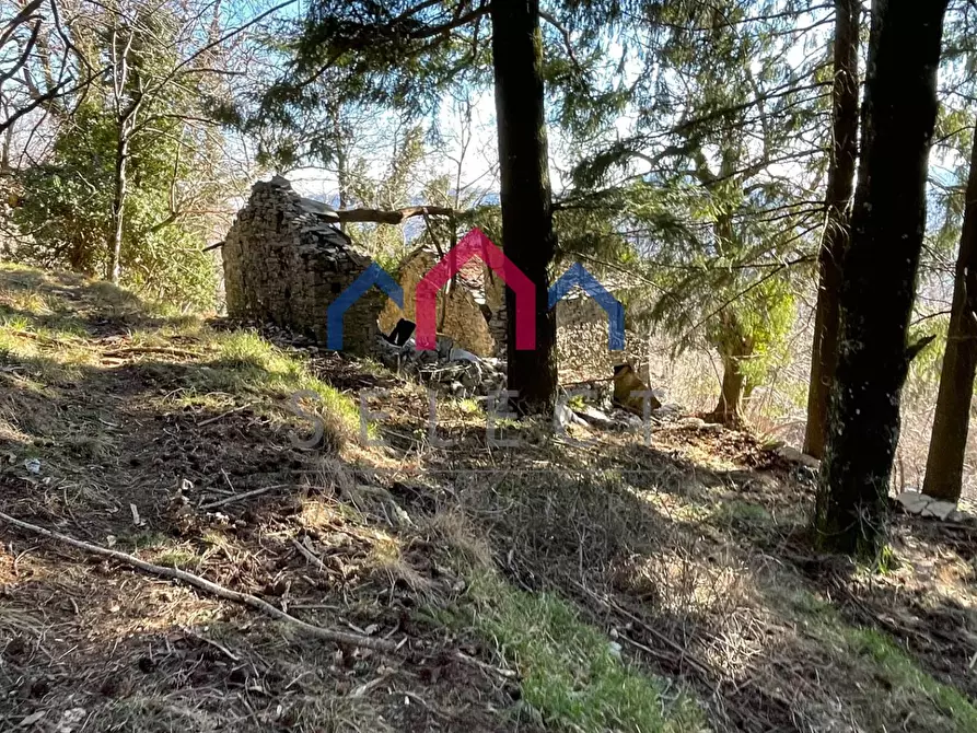 Immagine 17 di Rustico / casale in vendita  a Fabbriche Di Vergemoli