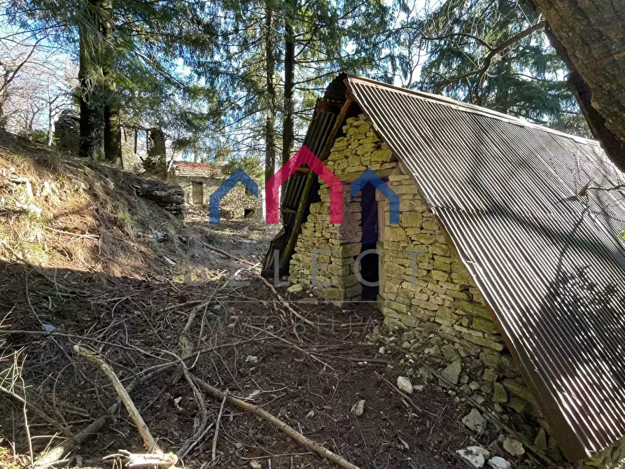 Immagine 47 di Rustico / casale in vendita  a Fabbriche Di Vergemoli