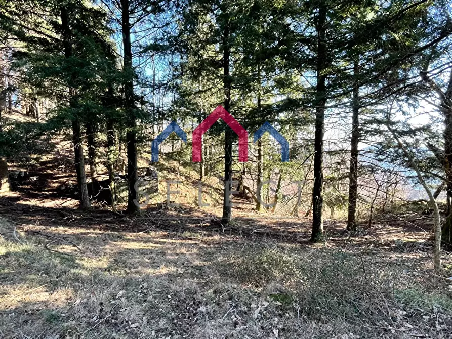 Immagine 51 di Rustico / casale in vendita  a Fabbriche Di Vergemoli