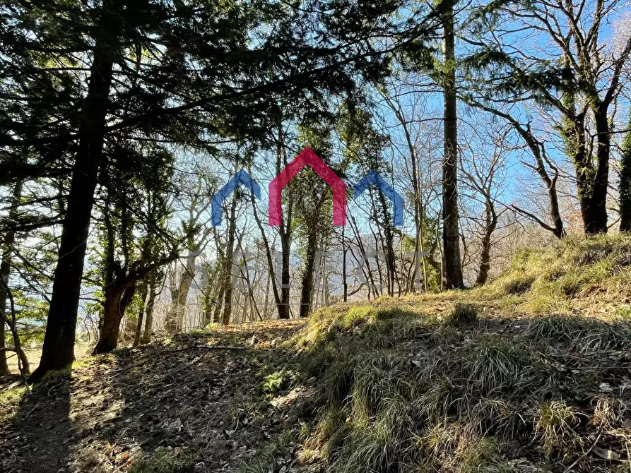 Immagine 53 di Rustico / casale in vendita  a Fabbriche Di Vergemoli