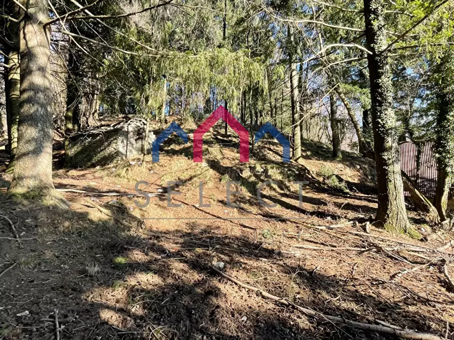 Immagine 8 di Rustico / casale in vendita  a Fabbriche Di Vergemoli