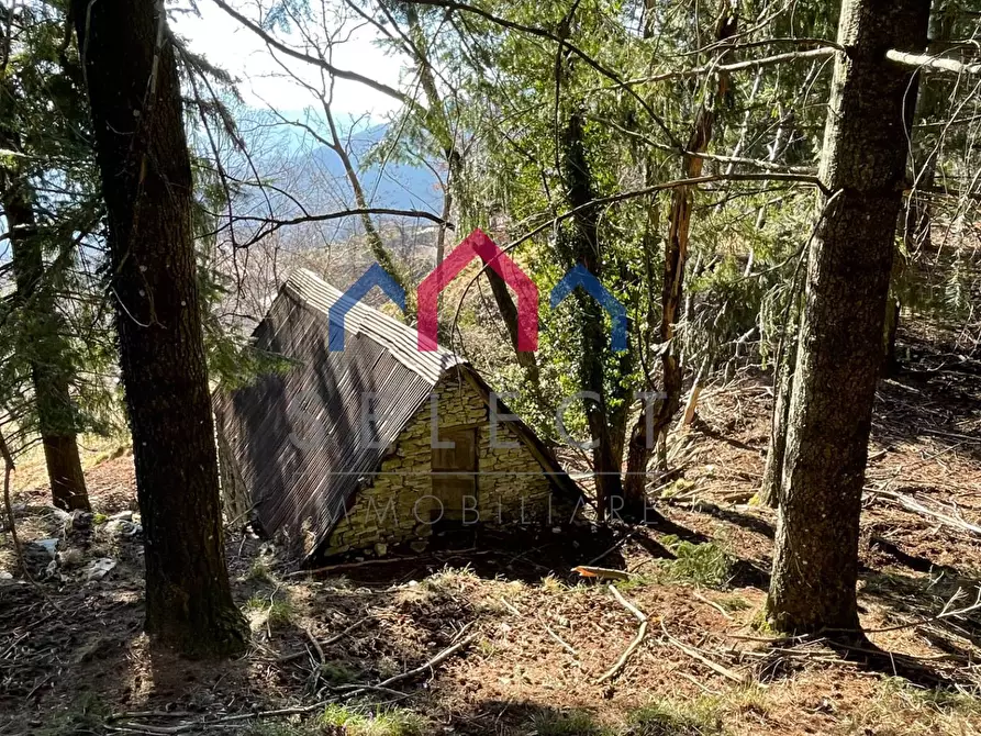 Immagine 16 di Rustico / casale in vendita  a Fabbriche Di Vergemoli