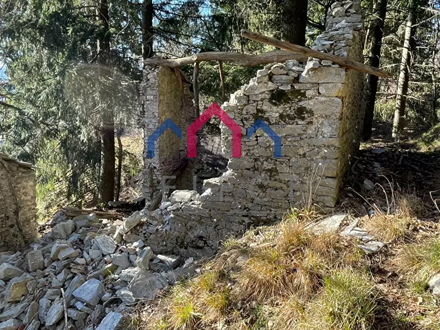 Immagine 21 di Rustico / casale in vendita  a Fabbriche Di Vergemoli