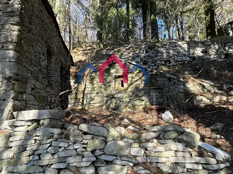 Immagine 35 di Rustico / casale in vendita  a Fabbriche Di Vergemoli