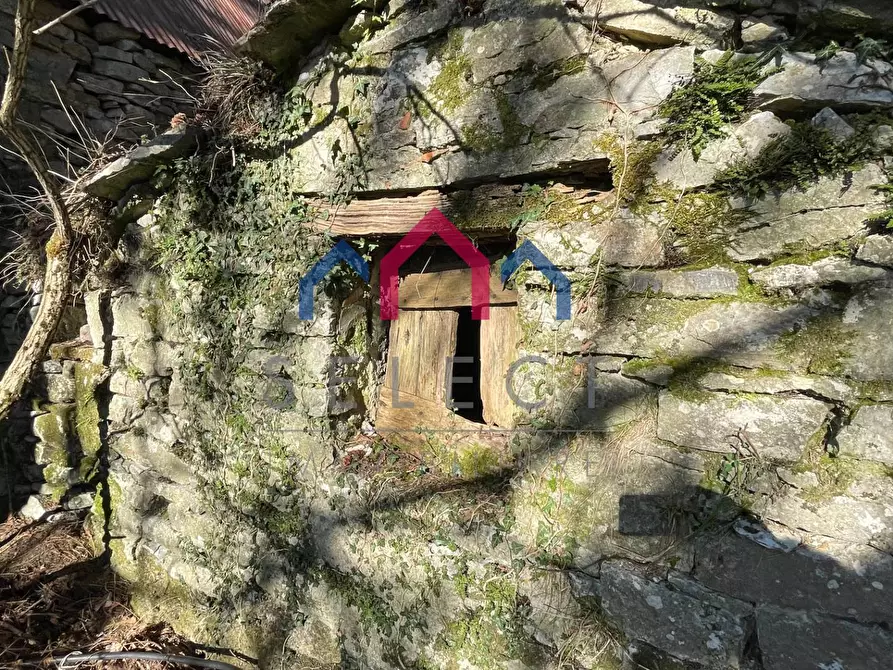 Immagine 38 di Rustico / casale in vendita  a Fabbriche Di Vergemoli