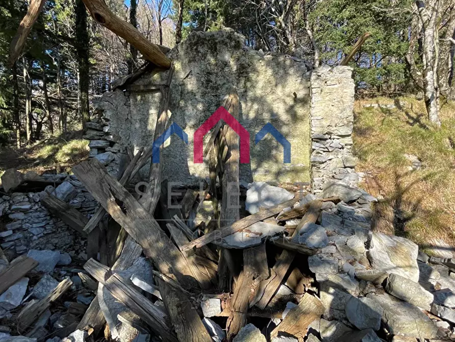 Immagine 25 di Rustico / casale in vendita  a Fabbriche Di Vergemoli