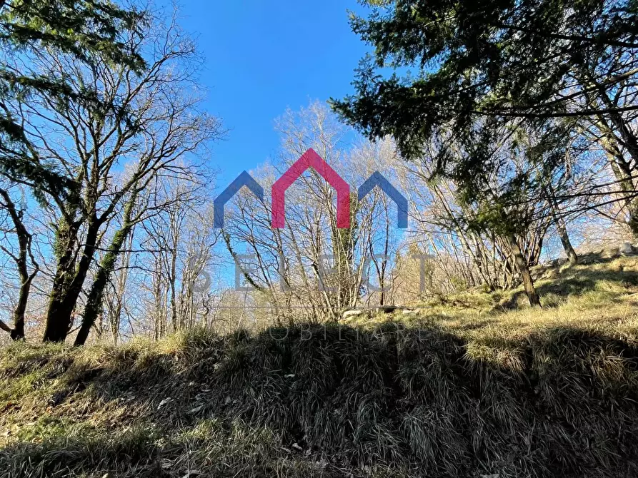 Immagine 55 di Rustico / casale in vendita  a Fabbriche Di Vergemoli