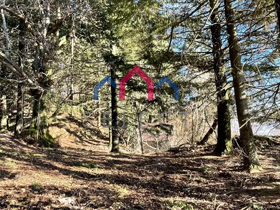 Immagine 4 di Rustico / casale in vendita  a Fabbriche Di Vergemoli