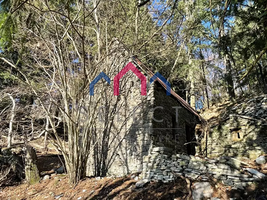 Immagine 32 di Rustico / casale in vendita  a Fabbriche Di Vergemoli