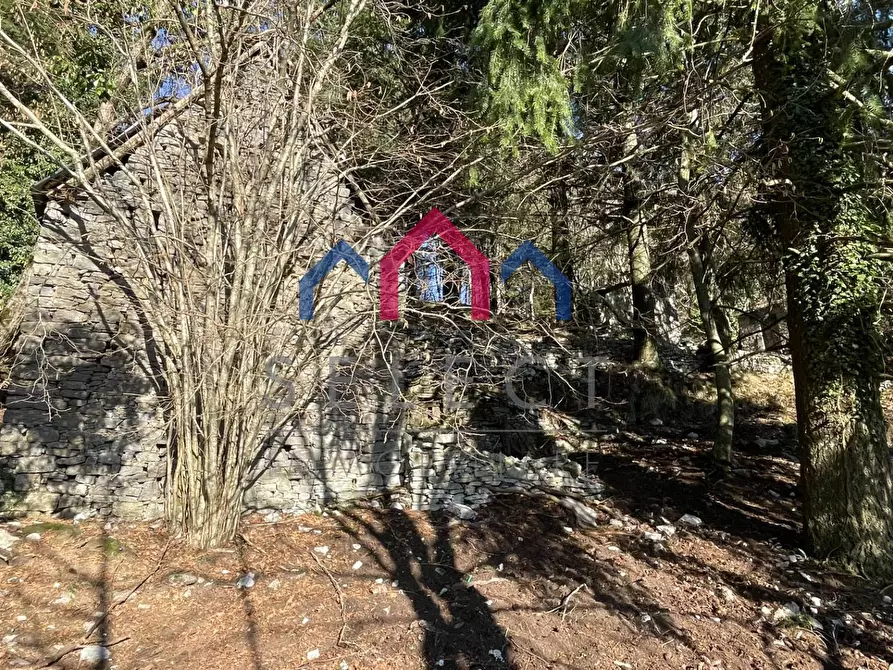 Immagine 33 di Rustico / casale in vendita  a Fabbriche Di Vergemoli