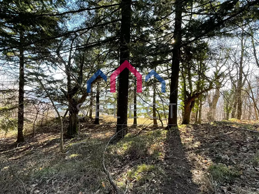 Immagine 52 di Rustico / casale in vendita  a Fabbriche Di Vergemoli