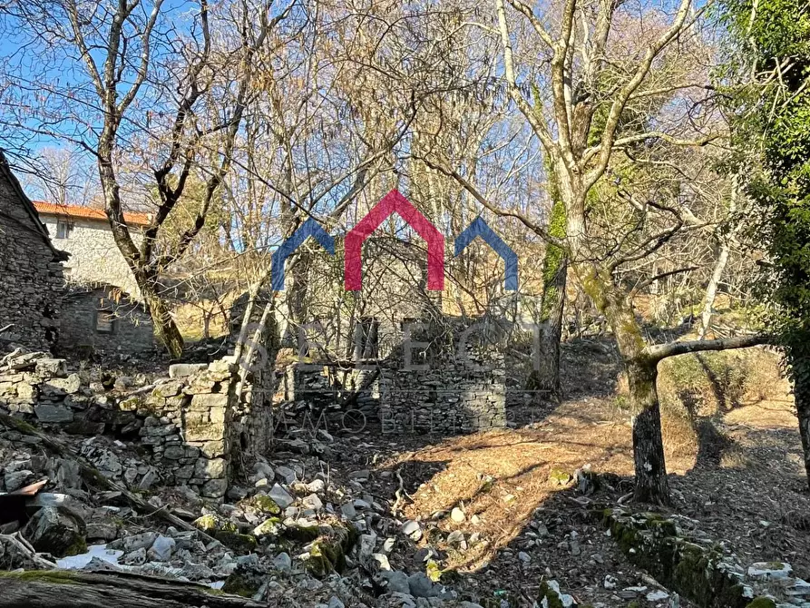 Immagine 39 di Rustico / casale in vendita  a Fabbriche Di Vergemoli