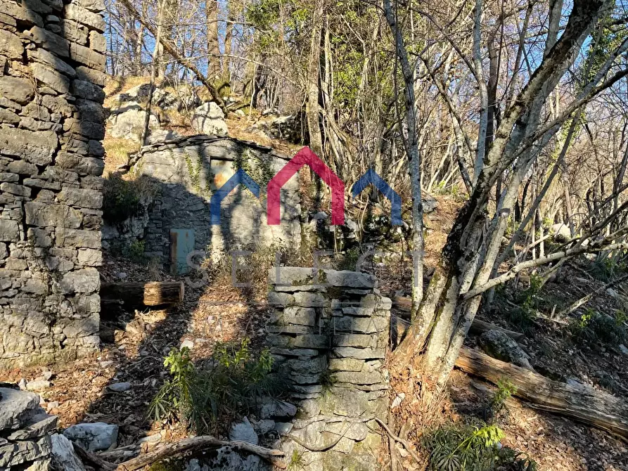 Immagine 61 di Rustico / casale in vendita  a Fabbriche Di Vergemoli