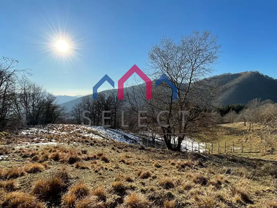 Immagine 4 di Rustico / casale in vendita  a Fabbriche Di Vergemoli