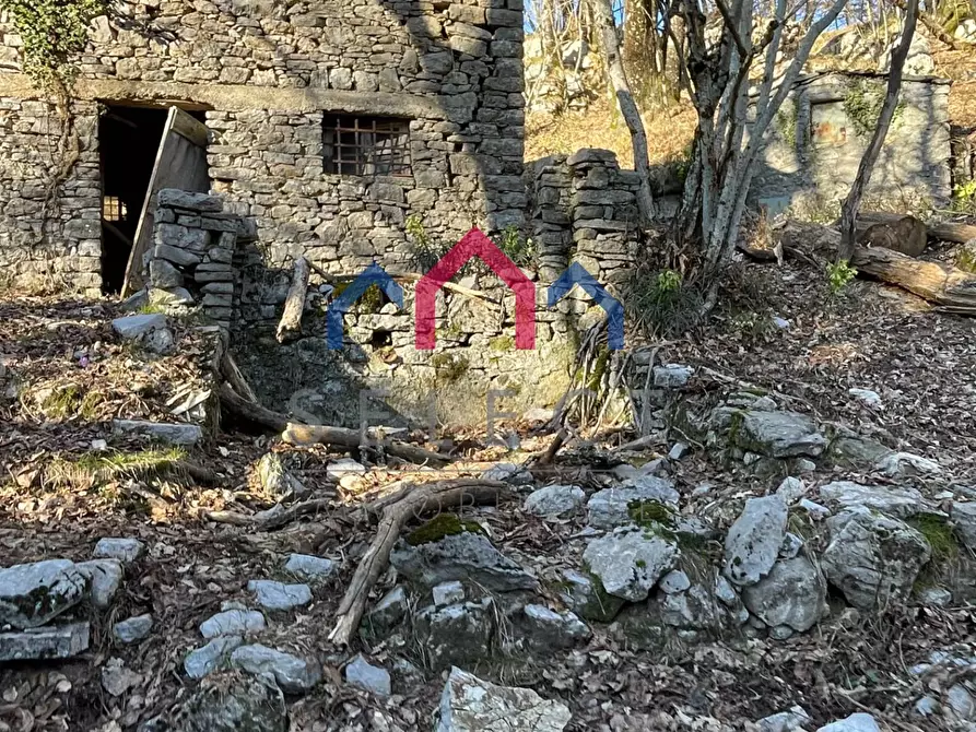 Immagine 18 di Rustico / casale in vendita  a Fabbriche Di Vergemoli