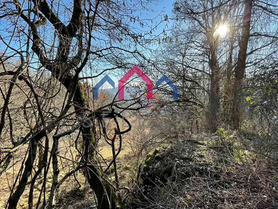 Immagine 45 di Rustico / casale in vendita  a Fabbriche Di Vergemoli