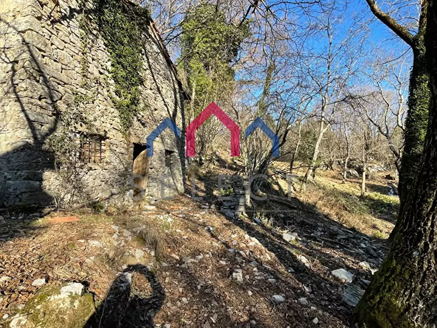 Immagine 21 di Rustico / casale in vendita  a Fabbriche Di Vergemoli