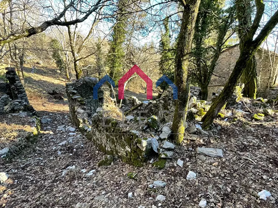 Immagine 25 di Rustico / casale in vendita  a Fabbriche Di Vergemoli