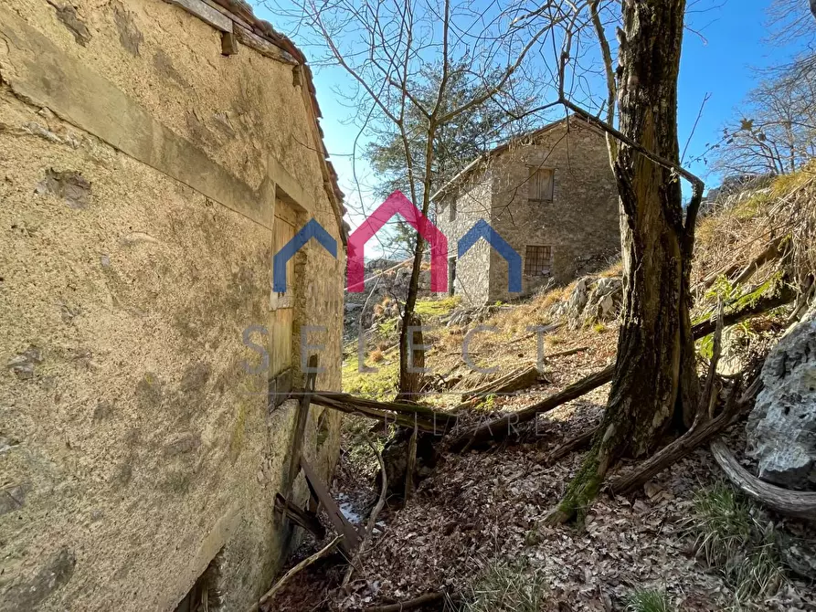 Immagine 59 di Rustico / casale in vendita  a Fabbriche Di Vergemoli